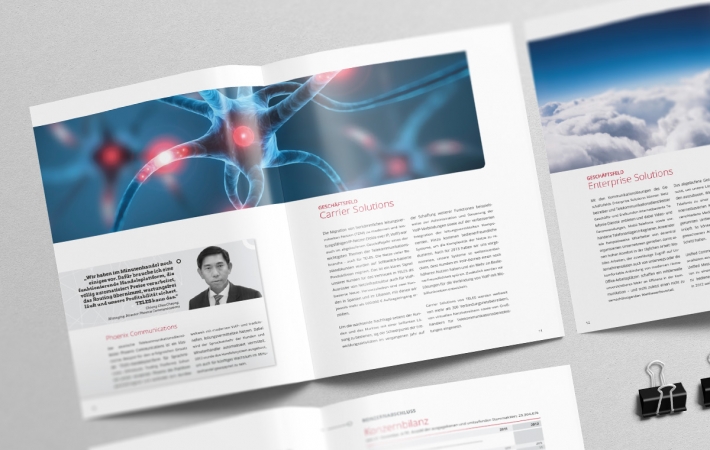 TELES AG Geschäftsbericht 2012 TELES AG Geschäftsbericht 2012