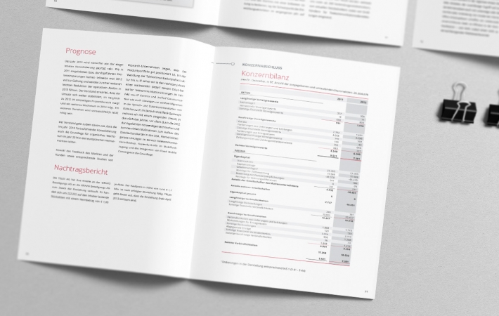TELES AG Geschäftsbericht 2012 TELES AG Geschäftsbericht 2012